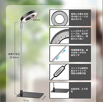 ライチュウ　10枚 ライチュウGX(hp:210/10まんボルト)の効果や採用されている